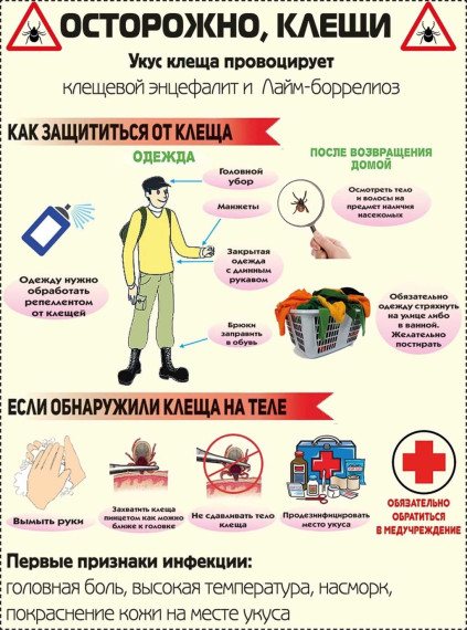 Опасность клещевых укусов.